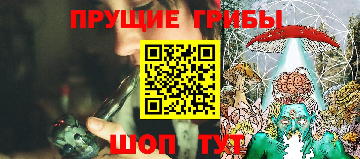 Галлюциногенные грибы Cubensis Кувандык